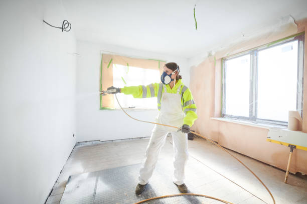 Best Basement Mold Removal  in North Babylon, NY