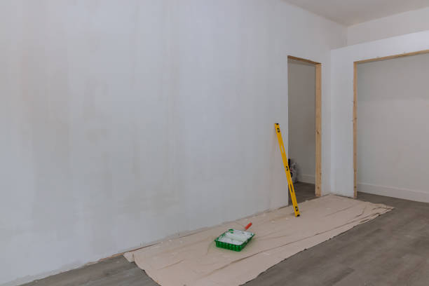 Best Attic Mold Removal  in North Babylon, NY