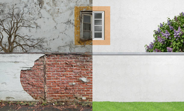 Best Airborne Mold Testing  in North Babylon, NY