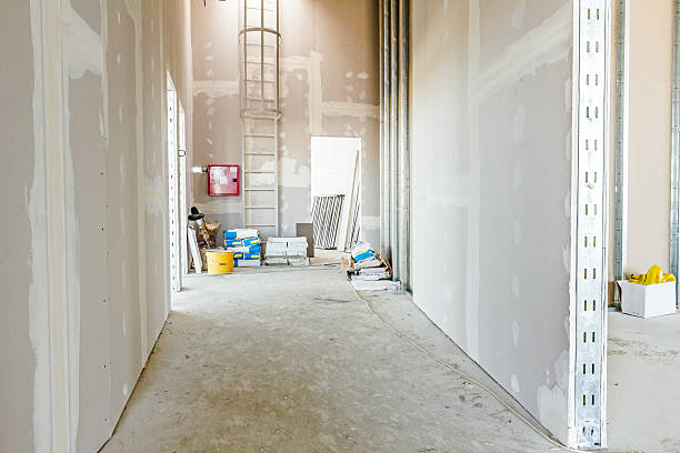 Best Mold Remediation for Healthcare Facilities  in North Babylon, NY